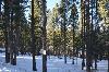Lot 25 Pinehurst Way